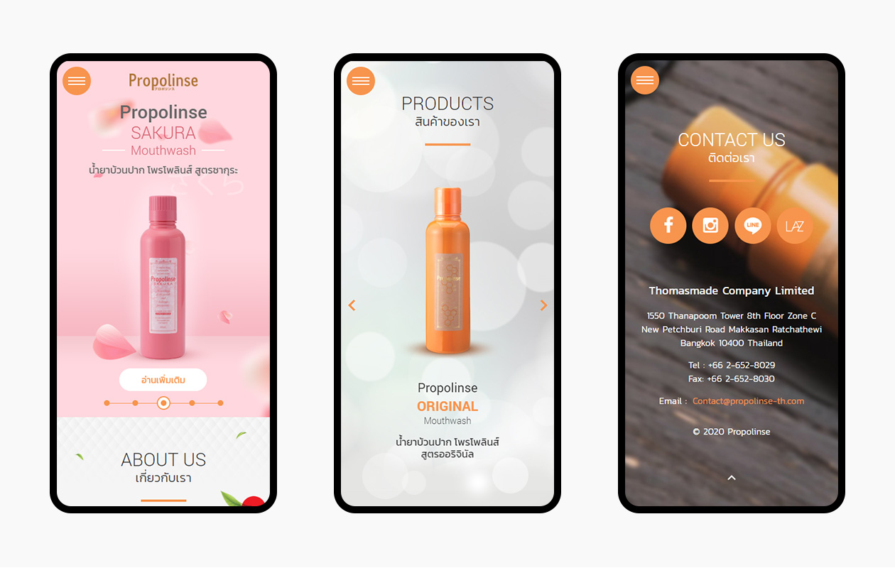 รับทำเว็บไซต์ ออกแบบเว็บไซต์ น้ำยาบ้วนปาก โพรโพลินส์ นำเข้าอย่างเป็นทางการจากญี่ปุ่น